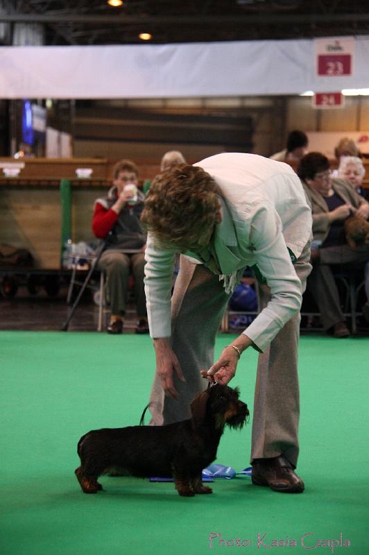 Crufts2011_2 1408.jpg